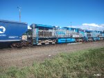 RUMO 9831